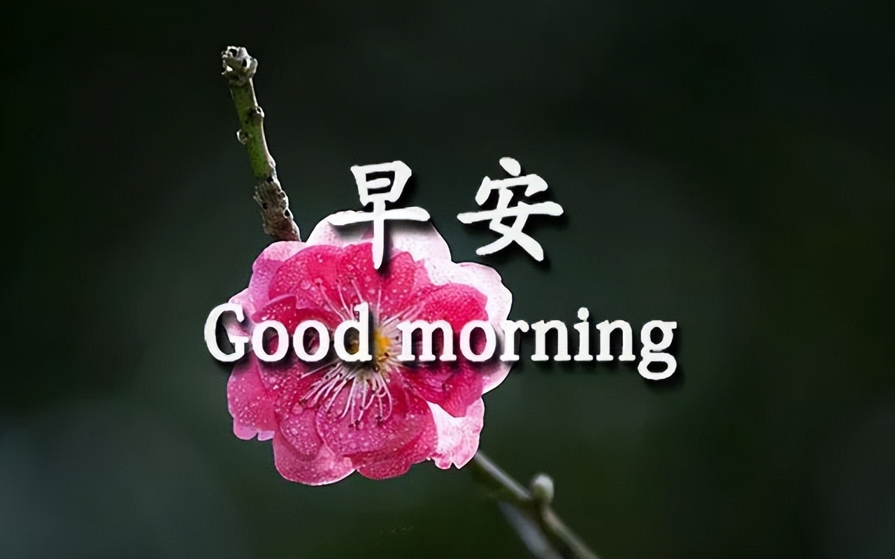 早上好漂亮的表情问候祝福图片 愿美丽的阳光美丽你的心情图片