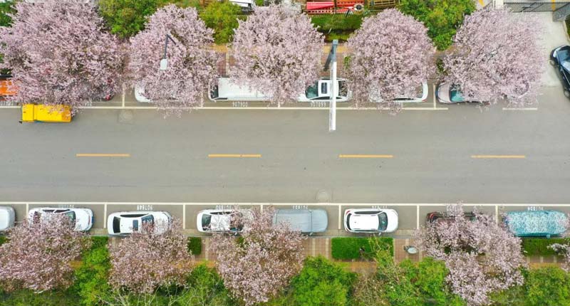 �����ױ������ҷ�ح����ǹ�����һ�����ͻ���