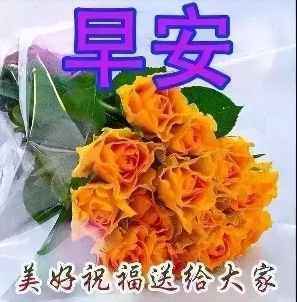 每日更新早上好动态表情图片，早安精神好，心情好人不老图片