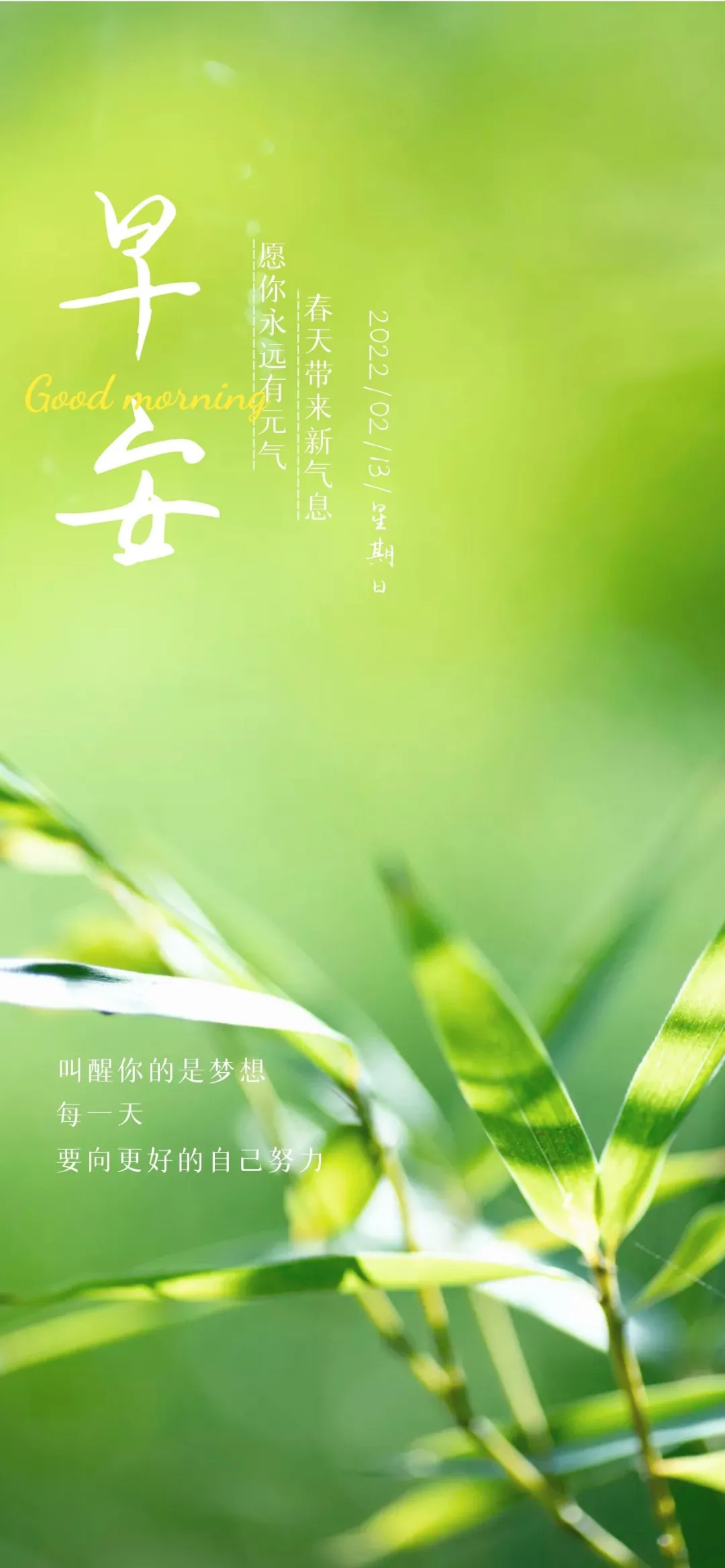 02.13」早安心语,正月十三正能量精致语录早上好创意图片