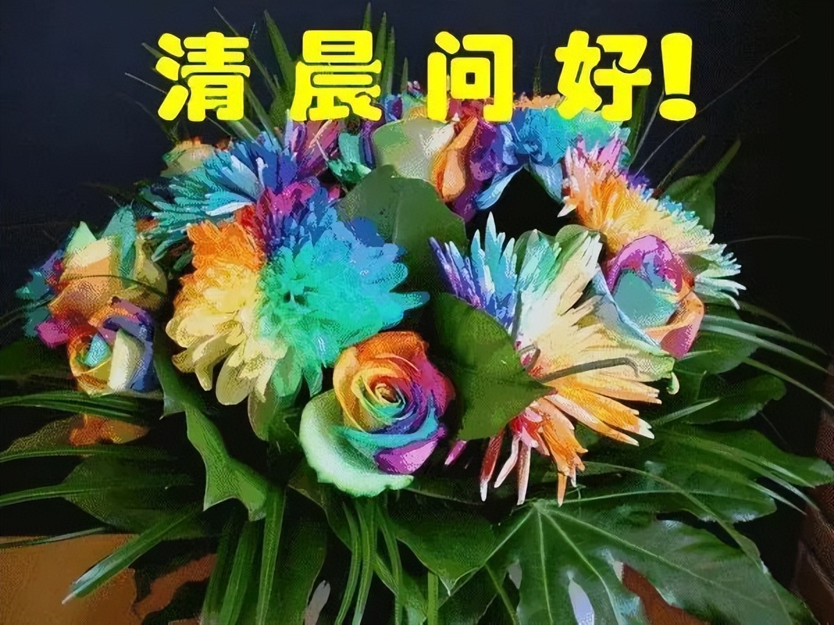 早上好图片精选早上好图片鲜花带字问候 心开运就通、运通福就来图片