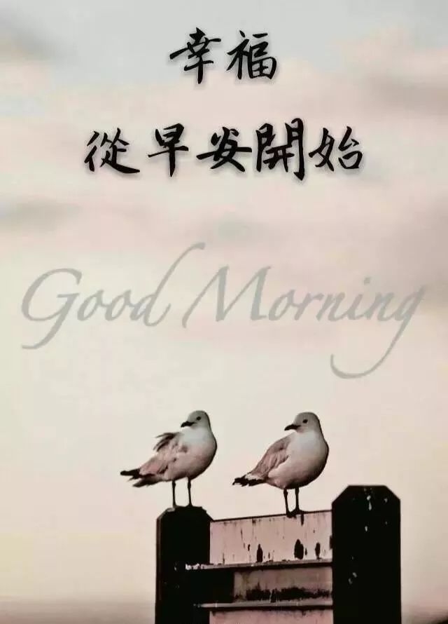 微信早上好动态问候表情图片带祝福语 把快乐和祝福轻轻送给你图片