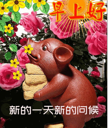 周六早上好问候语，愉快清晨问候早上好短句 言语不多、祝福无价图片