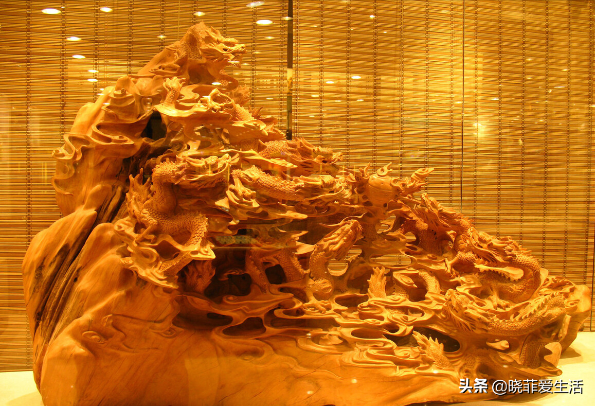 七种“黄金树”，子孙世代富，护宅守家，越养越“旺家”