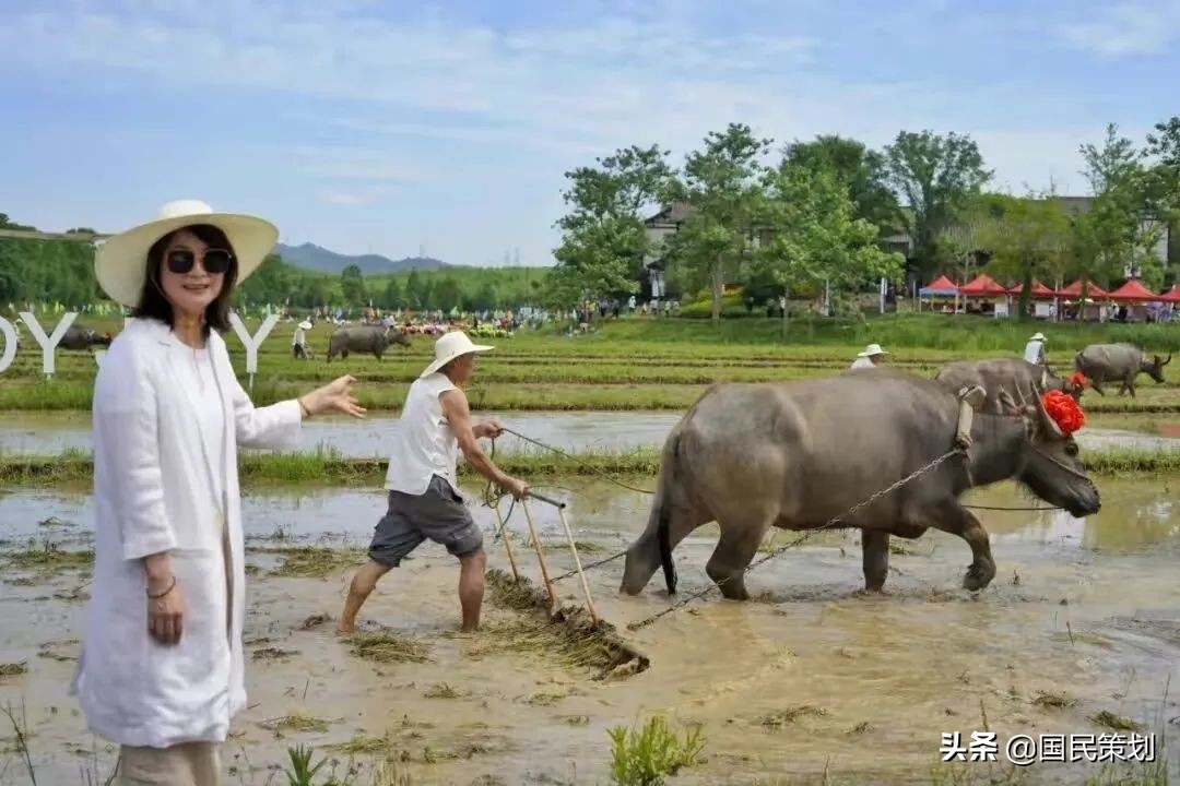 “乡村+体验式”旅游，离不开四大要素跨界融合，催化新场景？