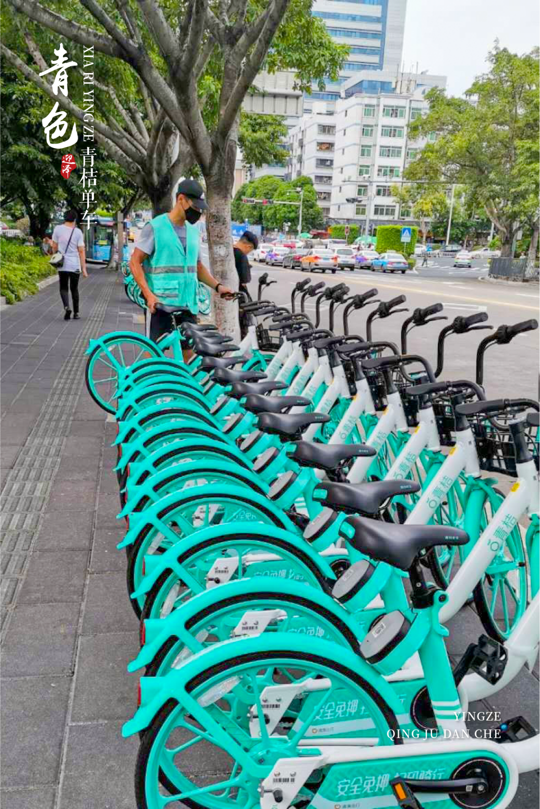 夏日迎泽，行走在无尽绿意中