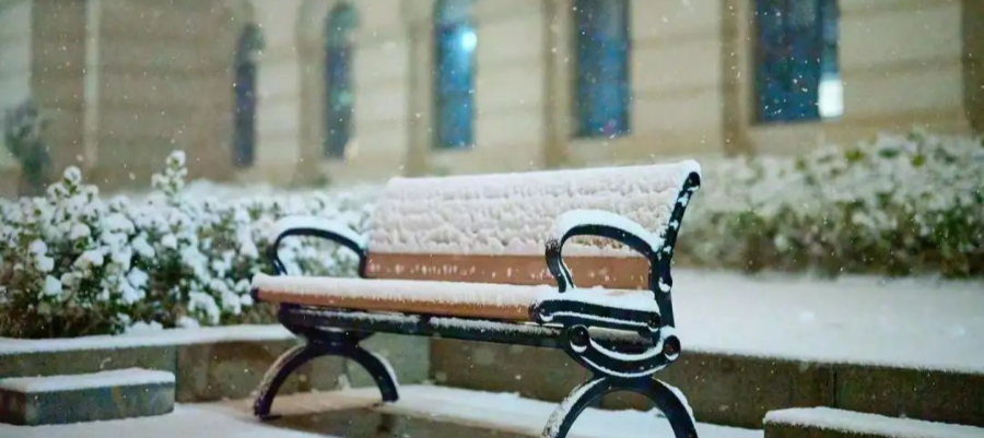 倒计时100天！河南农大120岁生日又近了