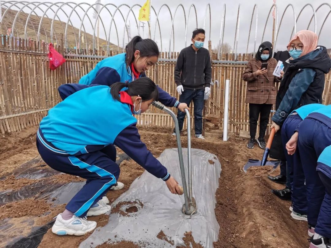 临潭“双减”实践：城关三小把课堂搬进菜园