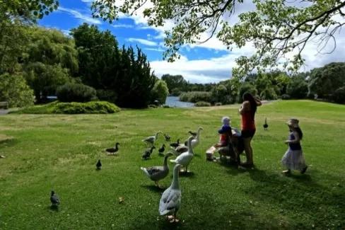 养身先养心：《隐者慧医》中这20条语录，说得太好了