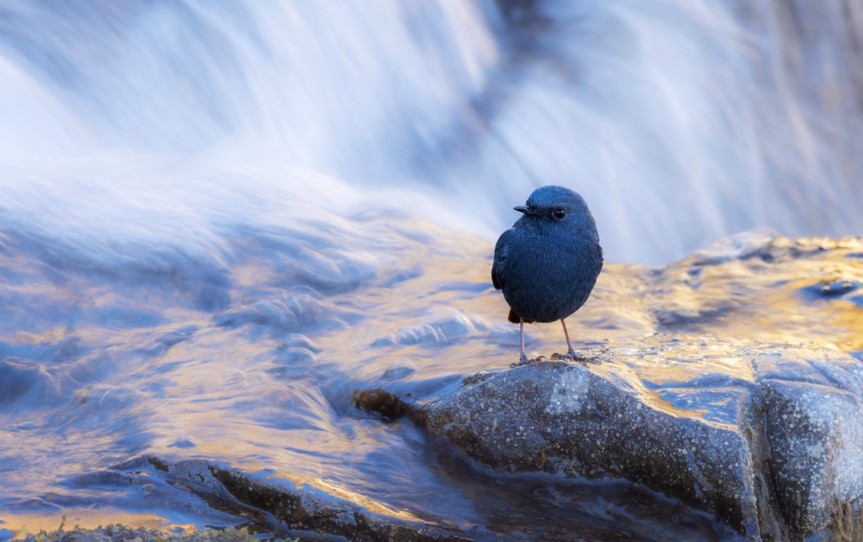 世界地球日（The World Earth Day），让我们用影像珍爱地球