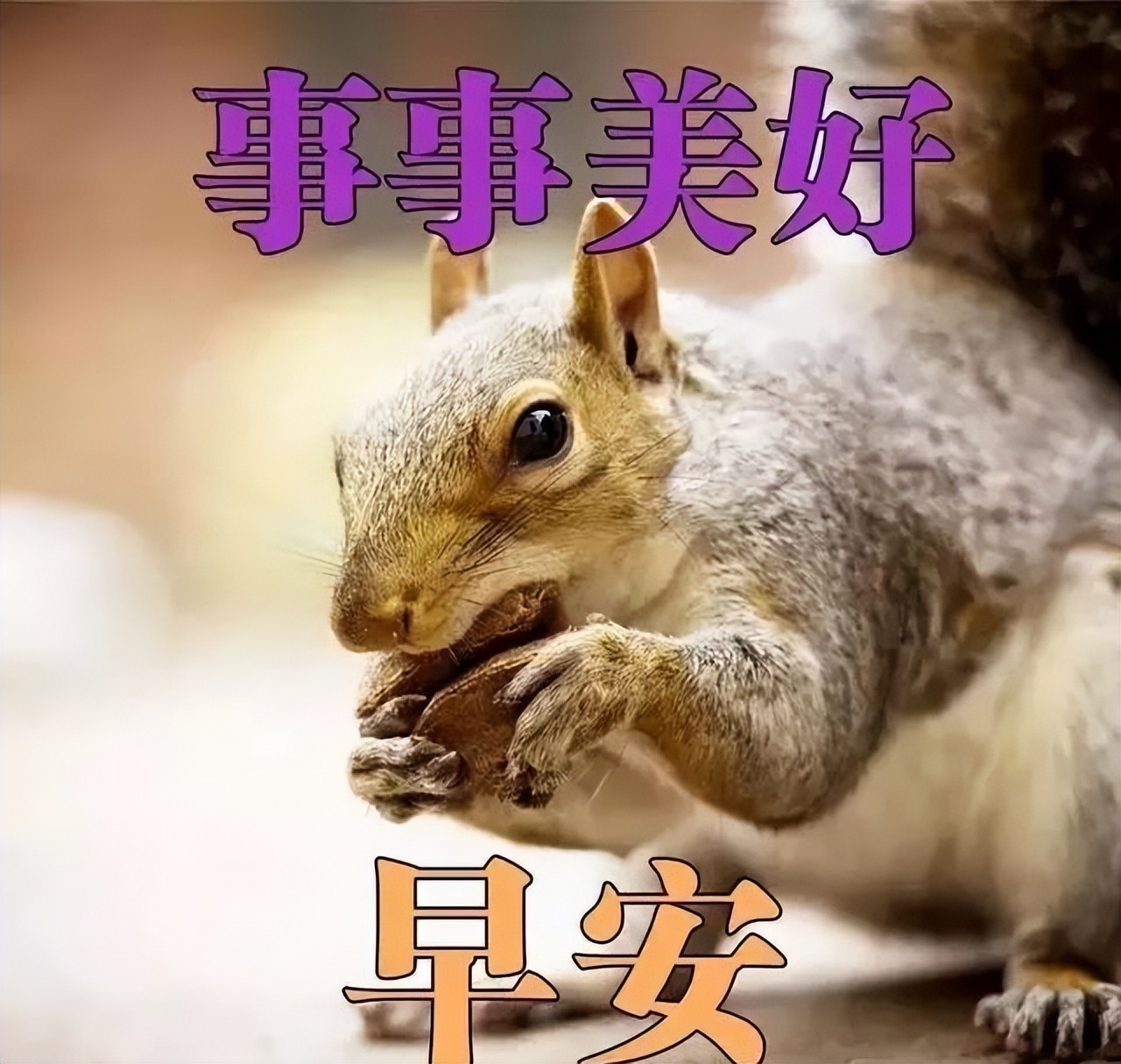 周六早上好问候语，愉快清晨问候早上好短句 言语不多、祝福无价图片