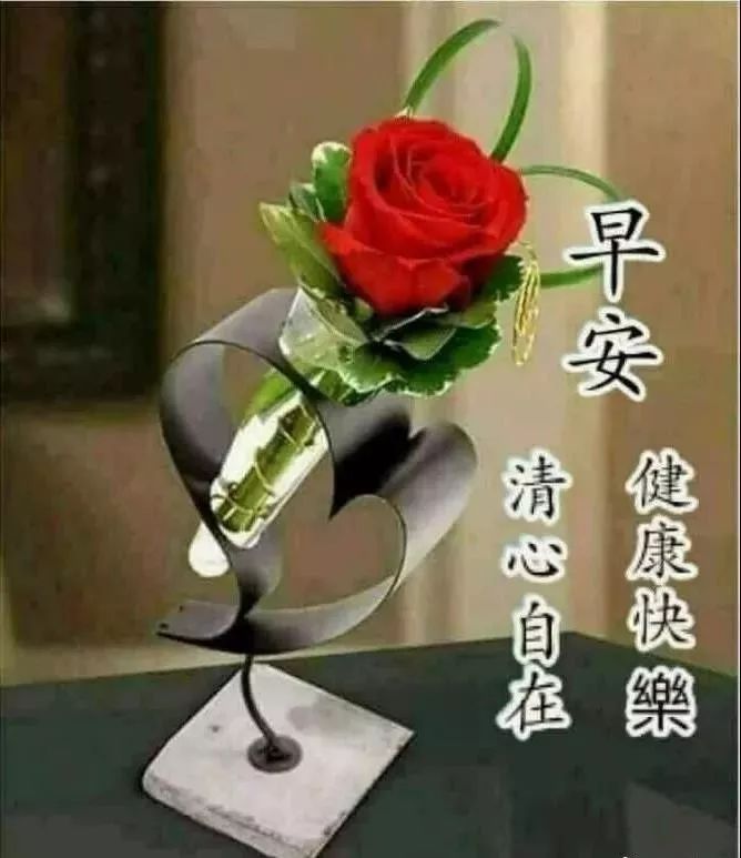 新版清晨好今日更新早上好表情包 寒潮来临，注意保暖图片