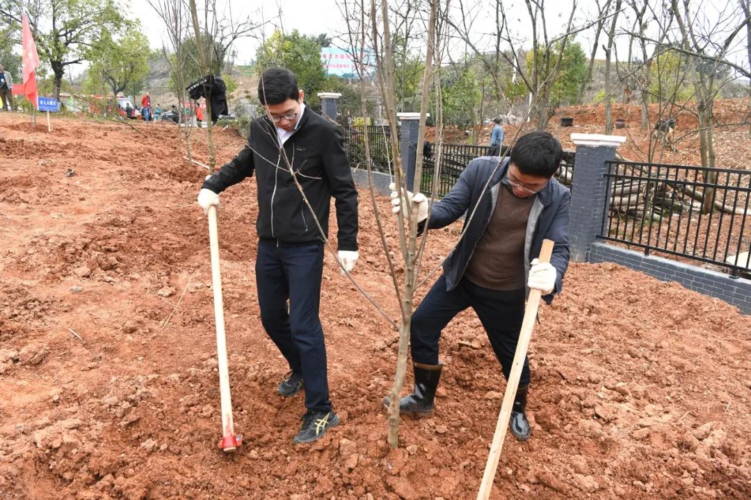 创国家森林城市 建怀化绿色家园 黎春秋王建球李万千印宇鹰等参加义务植树活动