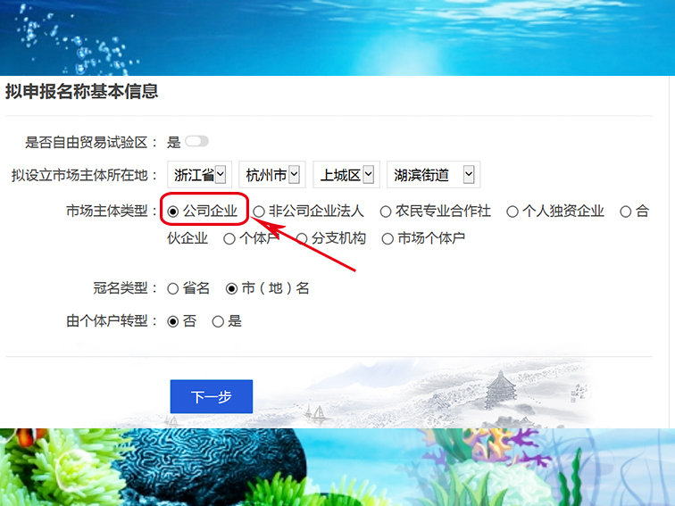 公司核名网上操作步骤