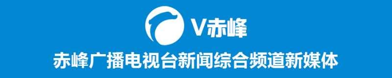 北京冬奥会会徽冬梦色彩(冬奥会小知识（一）北京2022年冬奥会会徽——“冬梦”)