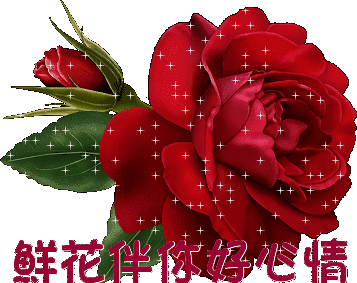 早上好的图片带字，最美早上好图片字鲜花，心之所愿、无所不成图片