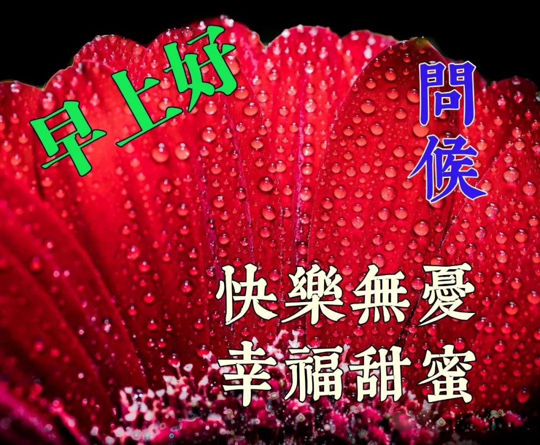 最新早上好表情包 早安问候语今日更新 面对生活的困境，想办法解决图片