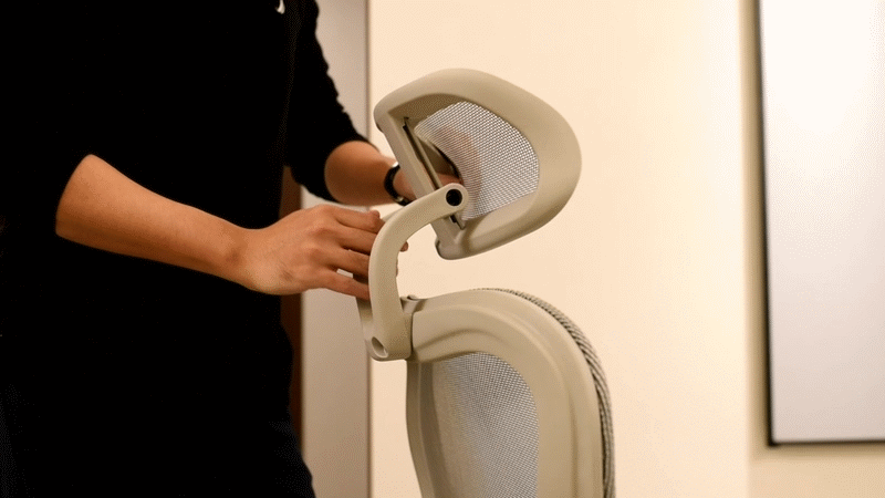 选一把好椅子，提高生产力-达宝利S10人体工学椅