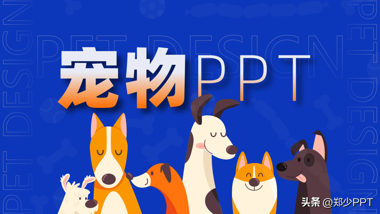 设计了一份宠物PPT(为宠物设计的产品)