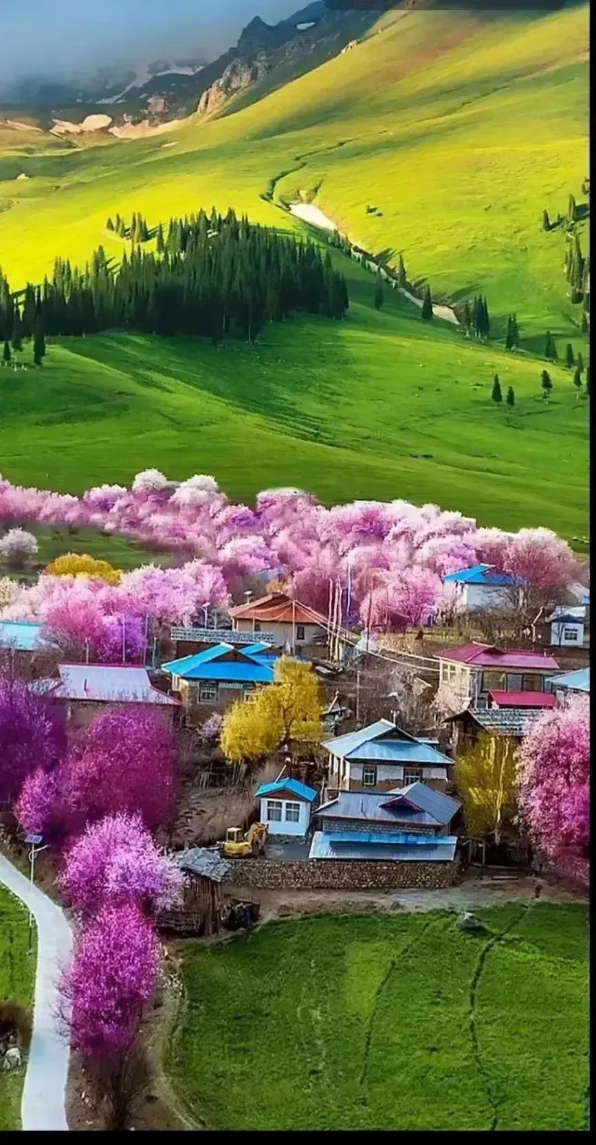 祖国的大好河山风景美如画