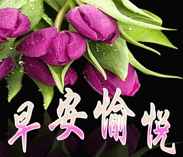新周最美早上好群发表情祝福图带字，美好的一天平安顺心图片