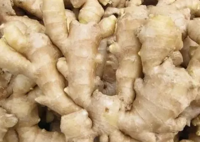 建議中老年人：穀雨時節，這5款養胃菜該吃就吃，千萬別心疼錢