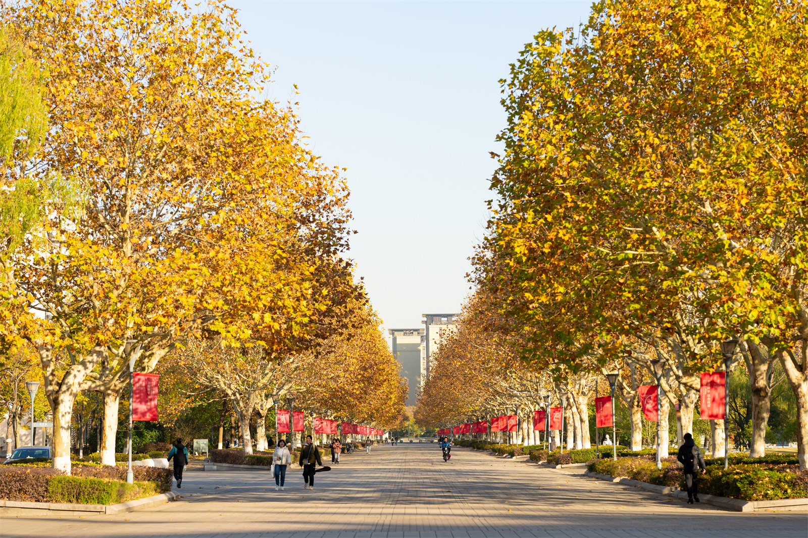 22省统考+10省地区校考，东华大学2022年美术类专业招生497人