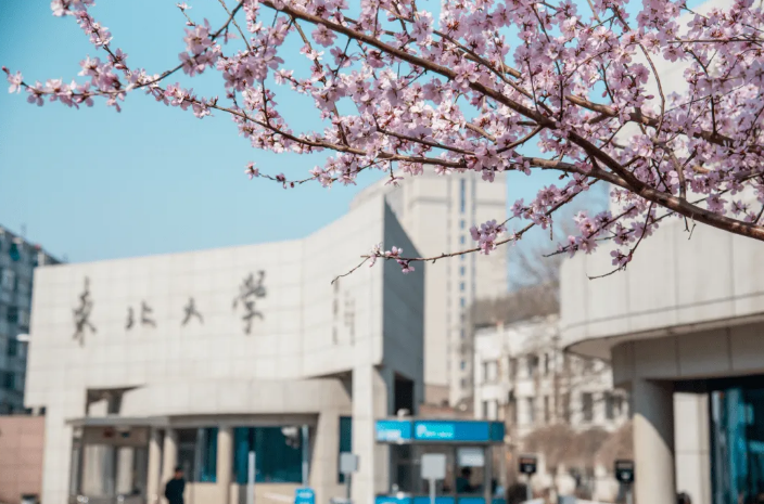 985高校更新档次排名：清华北大依旧是领头羊，东北大学无奈掉队