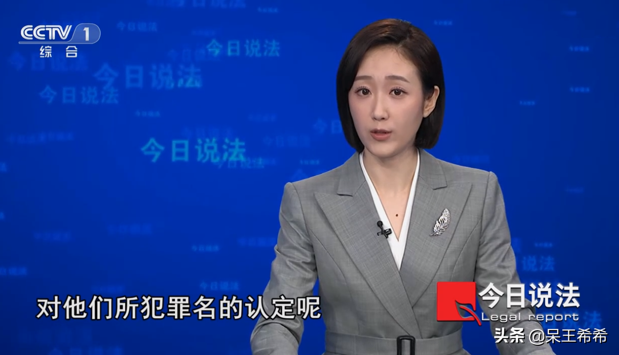 央视入职这么多新面孔，为什么看好王嘉宁？