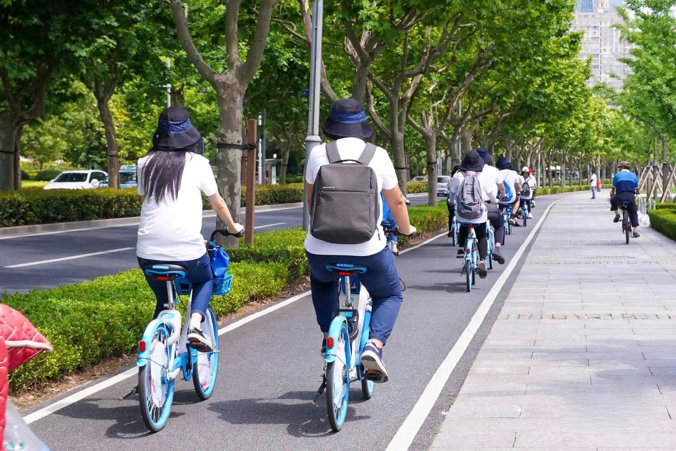 为何，今早，大量北京市民骑车上班