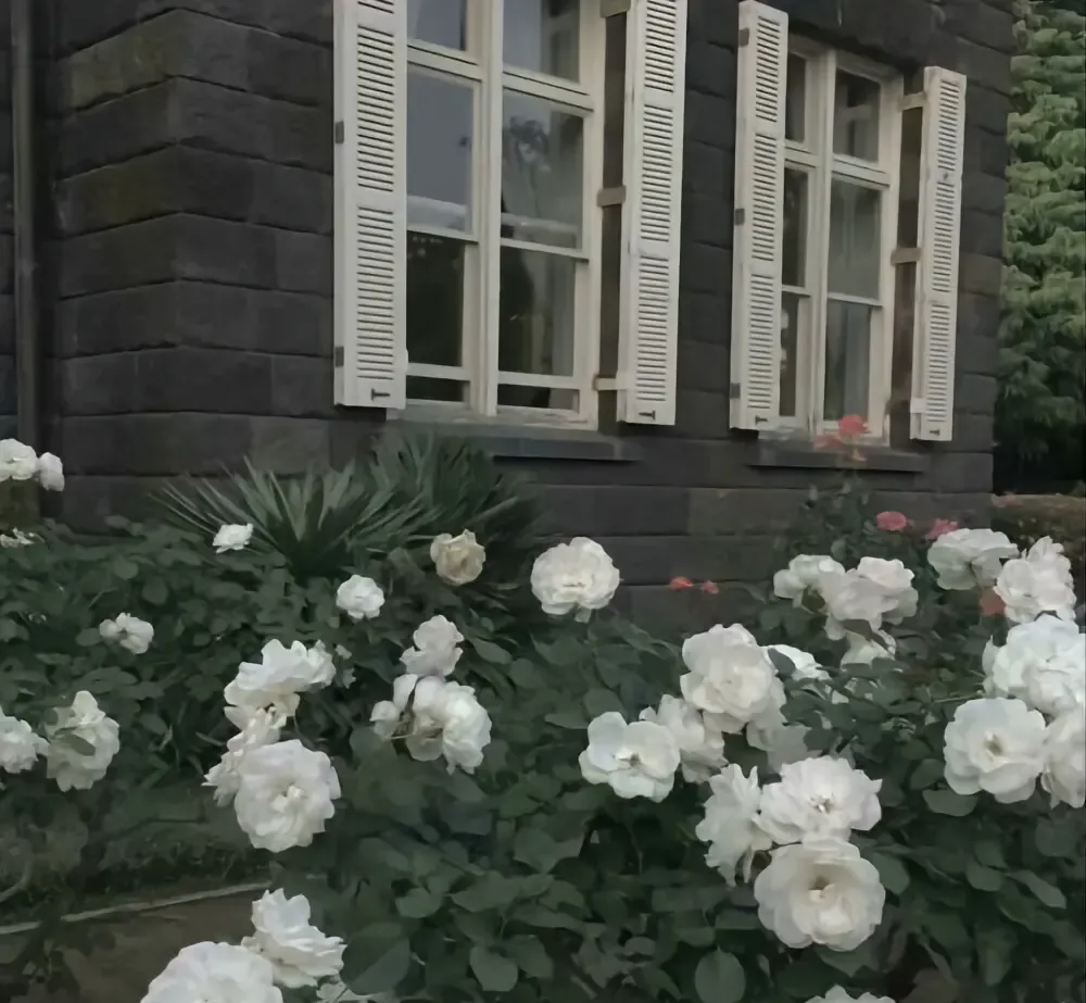 假如贷款10万五年还清每月还多少(如果你贷款10万元，4年还清)