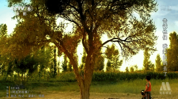 院线8分票房血扑！演员全是“关系户”，只剩海清是“真”演员？