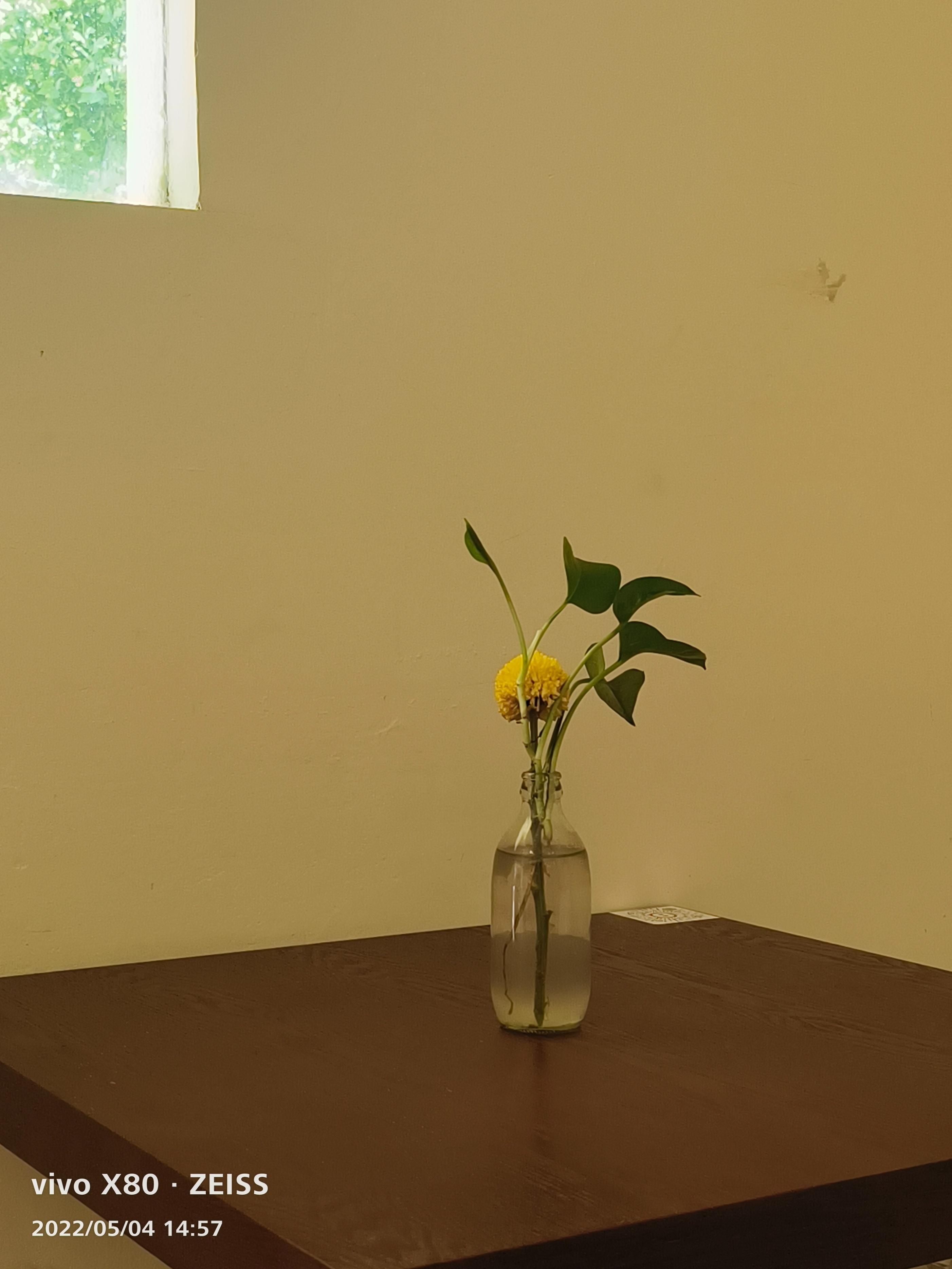 标准版也有Pro实力，天玑9000+蔡司影像加持，vivo X80上手实测