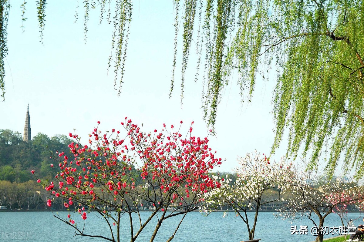 关于春风唯美的句子