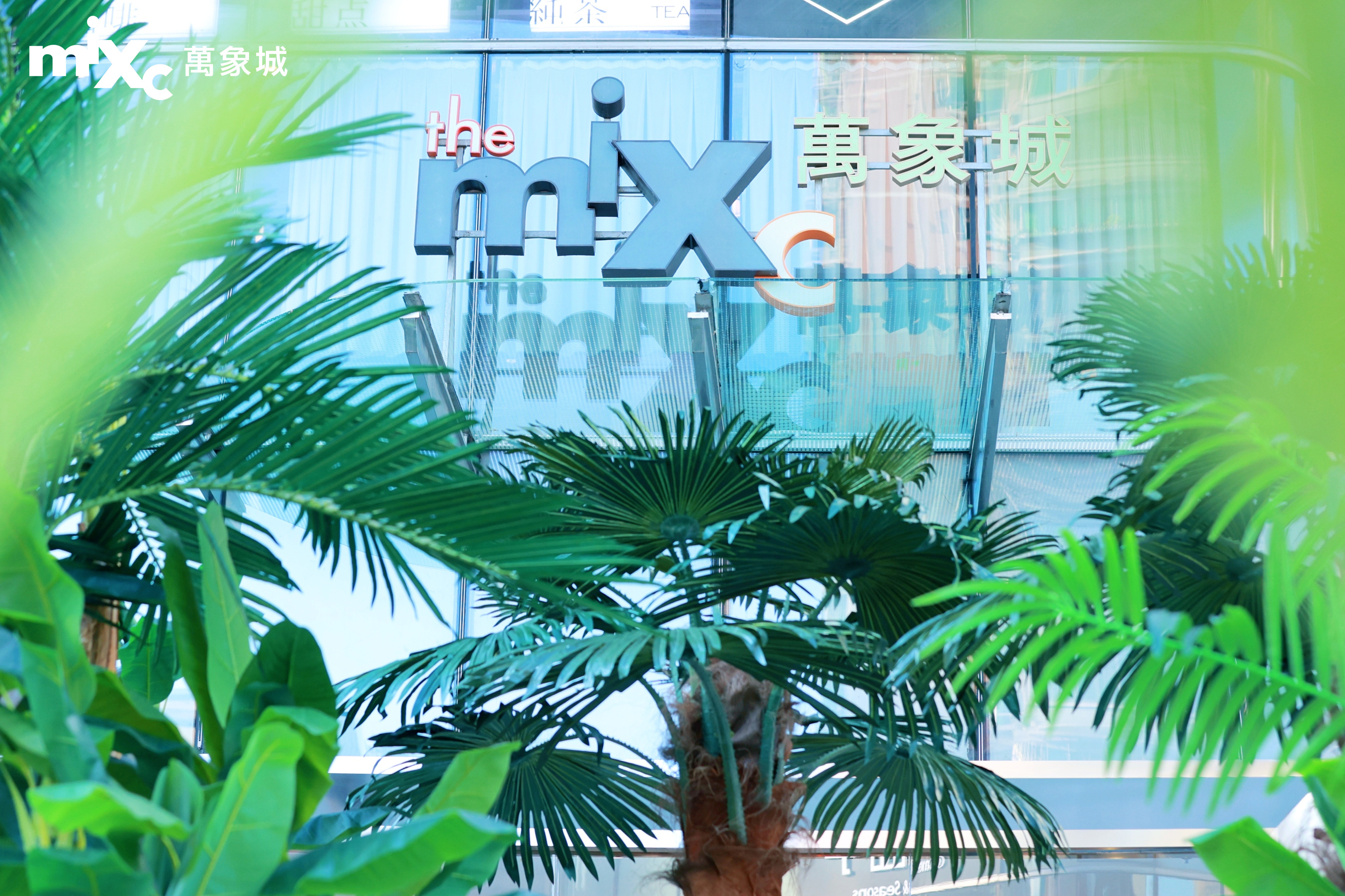 重庆万象城开启一场治愈的夏日雨林微度假之旅