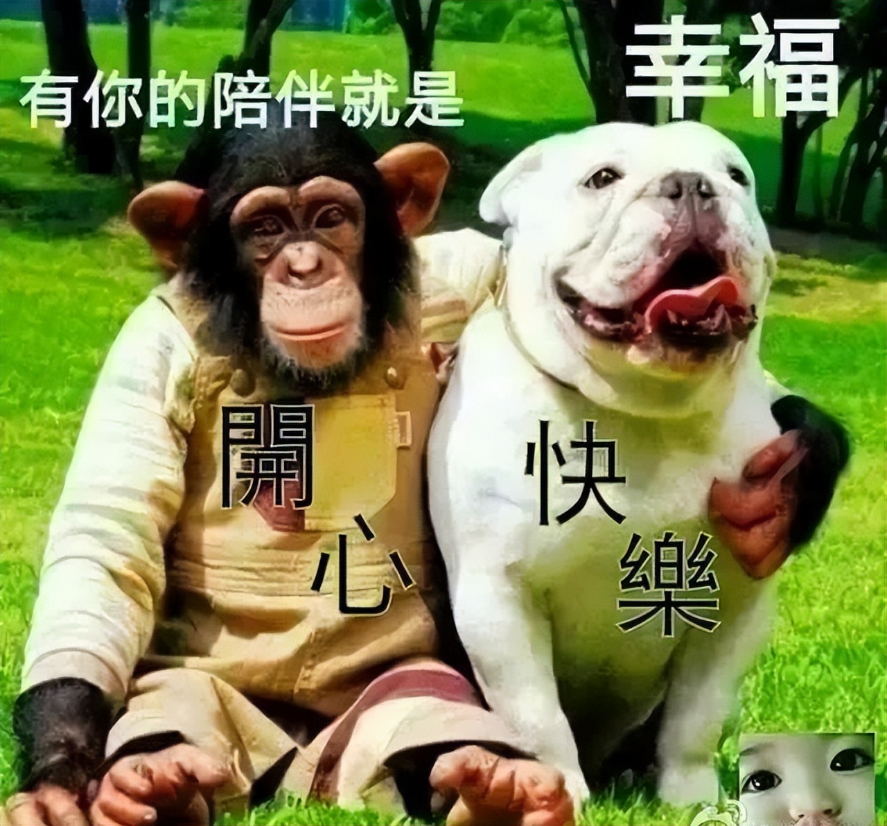 创意早晨早上好图片带祝福语大全 快乐好心情、天天乐呵呵图片