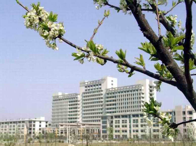 山东的医学院（这所来自山东的医学院）