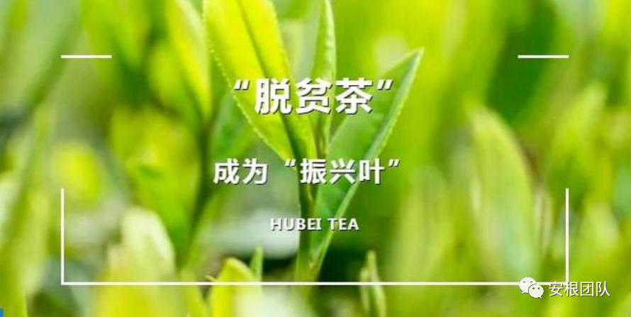全球价值链概念及理论