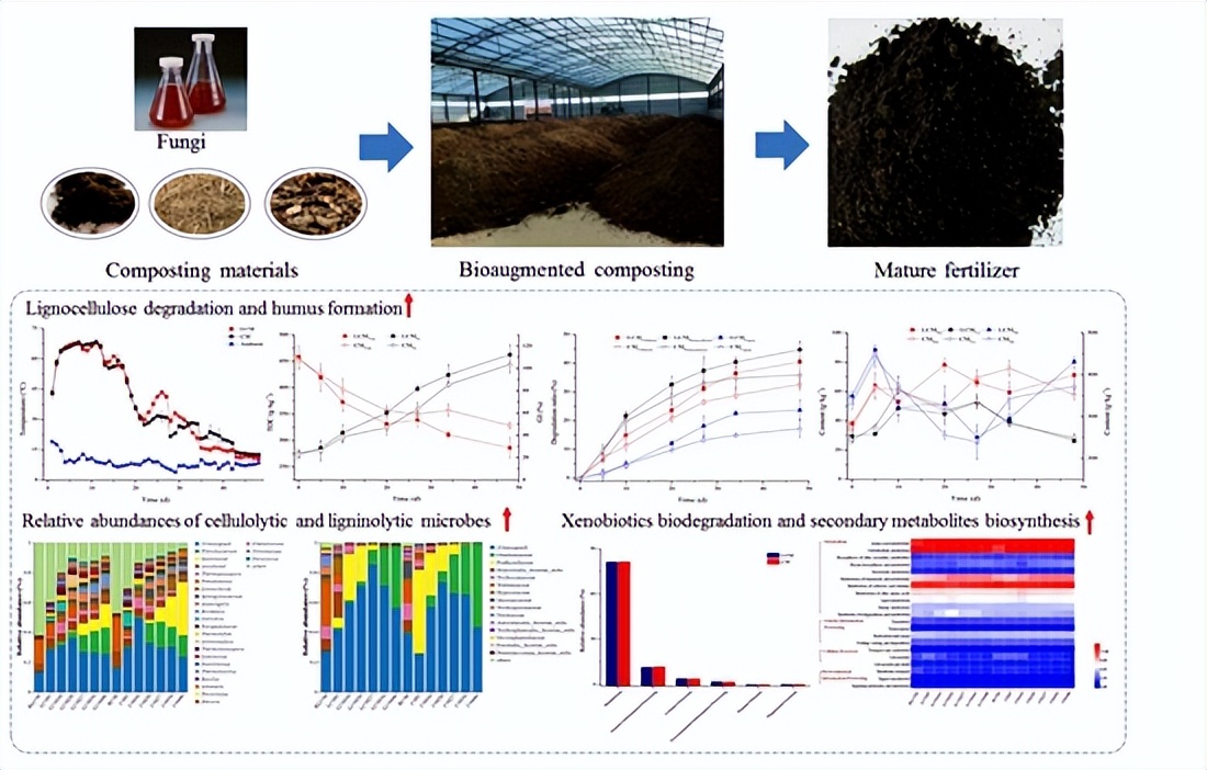 研究揭示生物强化促进沼渣堆肥腐殖化微生物学机制