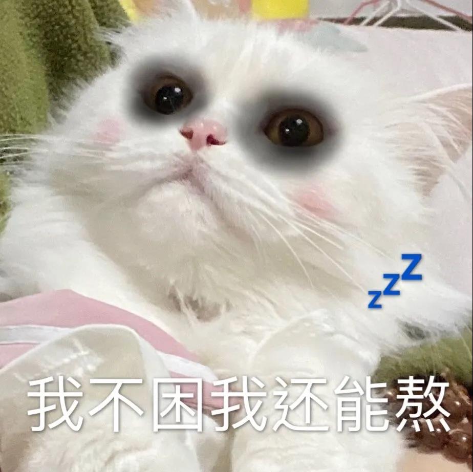 可爱搞笑的表情，又是不想起床的一天