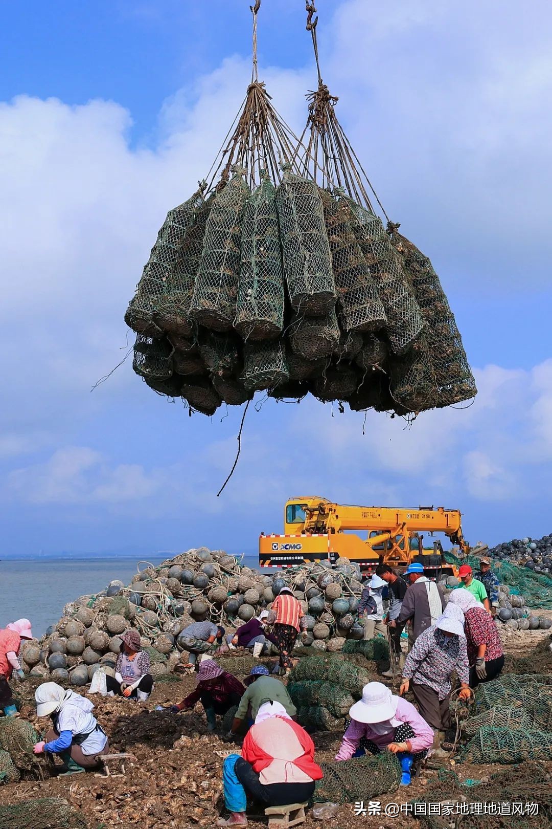 �й����ʴ�ʡ��ô�࣬����������óԣ�