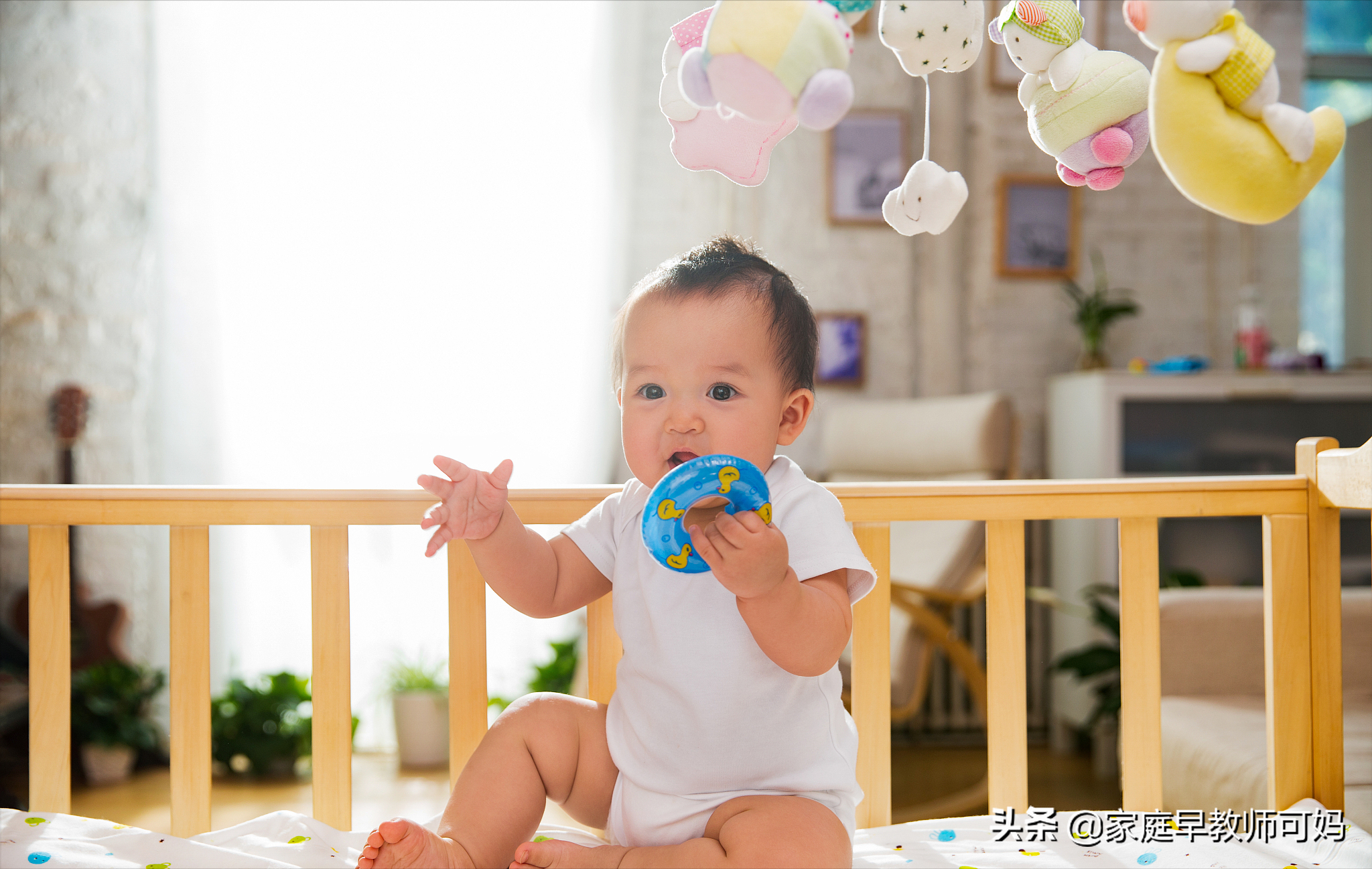 宝宝2岁前重点训练4大能力，让孩子赢在智力起跑线，越早知道越好