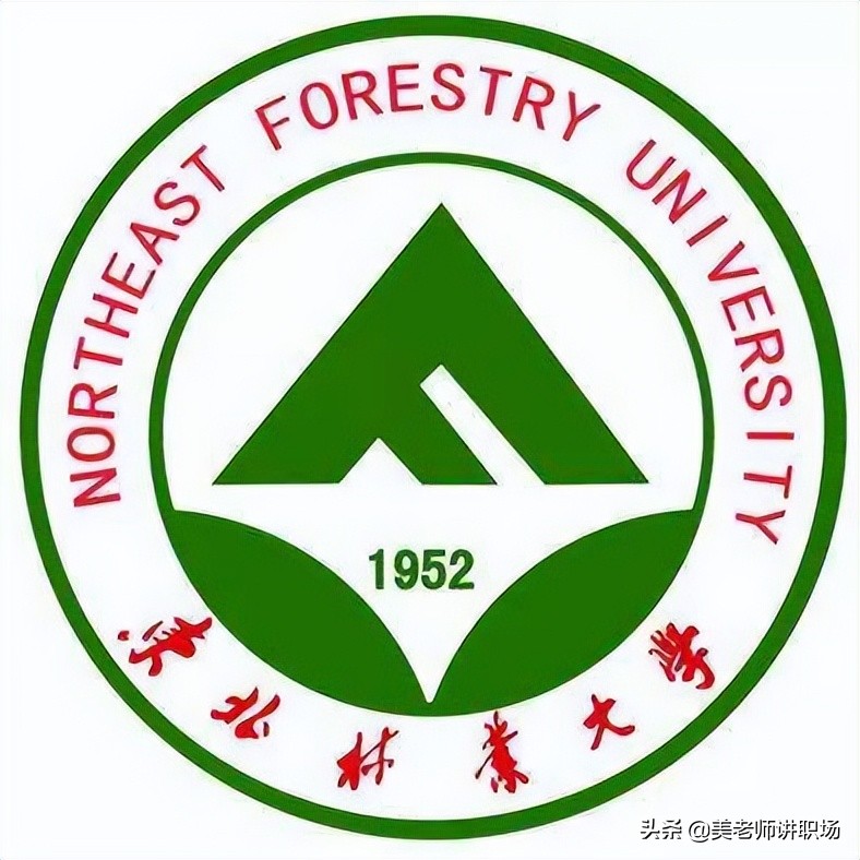 万字点评：全国31省市各排名前五共155所高校