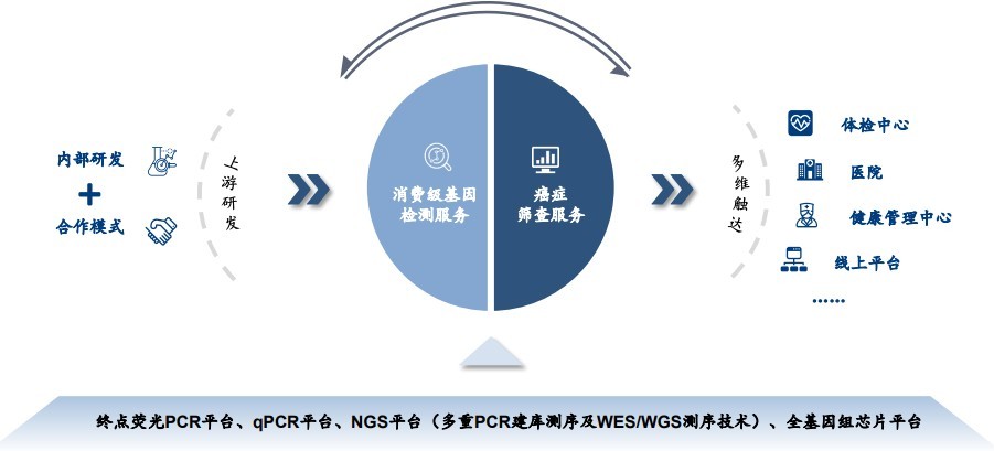 美因基因冲刺港交所：黄金赛道的“双冠王”