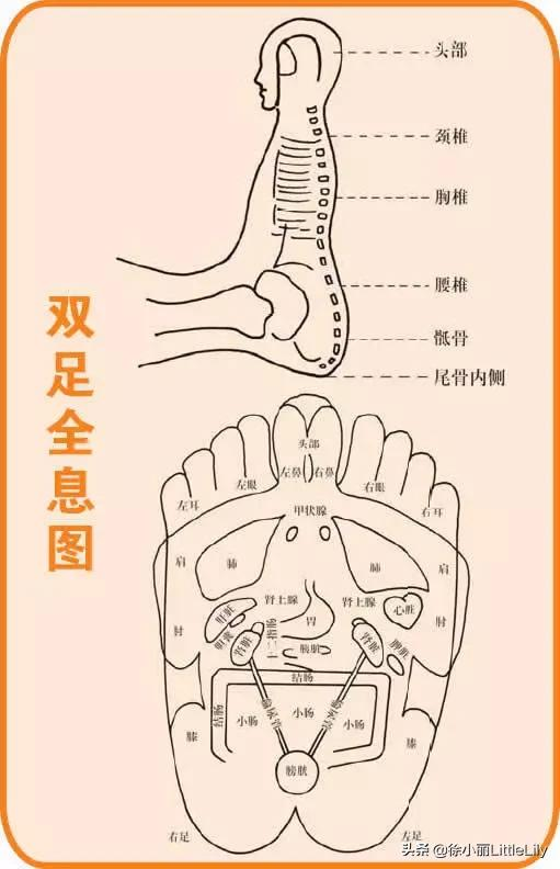 灸法选穴的基本原则