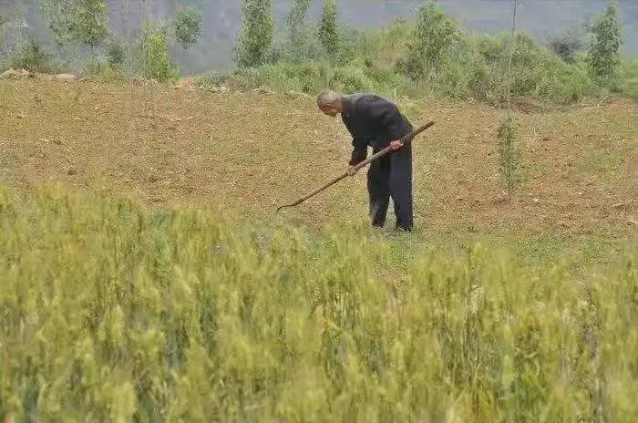 18年孙女高考成绩47分,爷爷请求复查考卷,原因竟是为减轻家庭负担