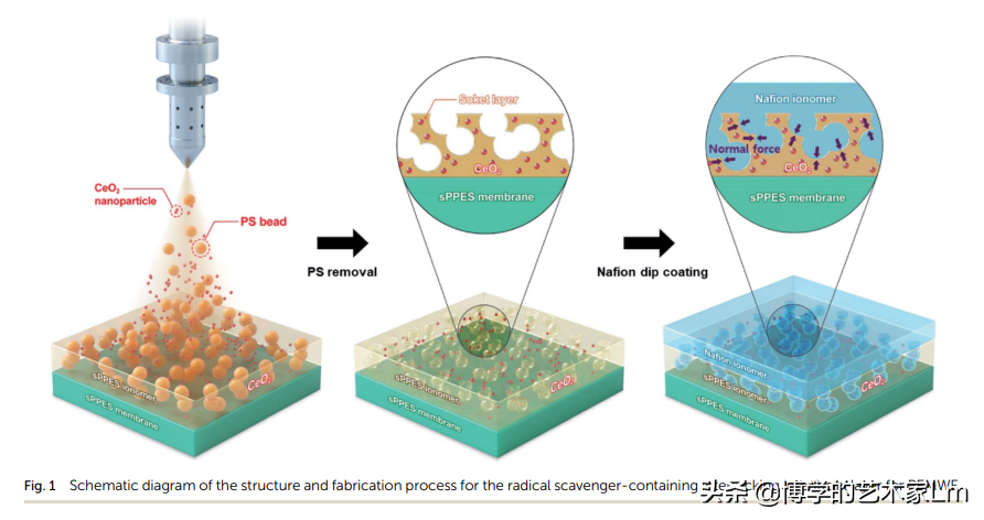 嵌入联锁界面层的自由基清除剂增强聚电解质水电解的耐久性