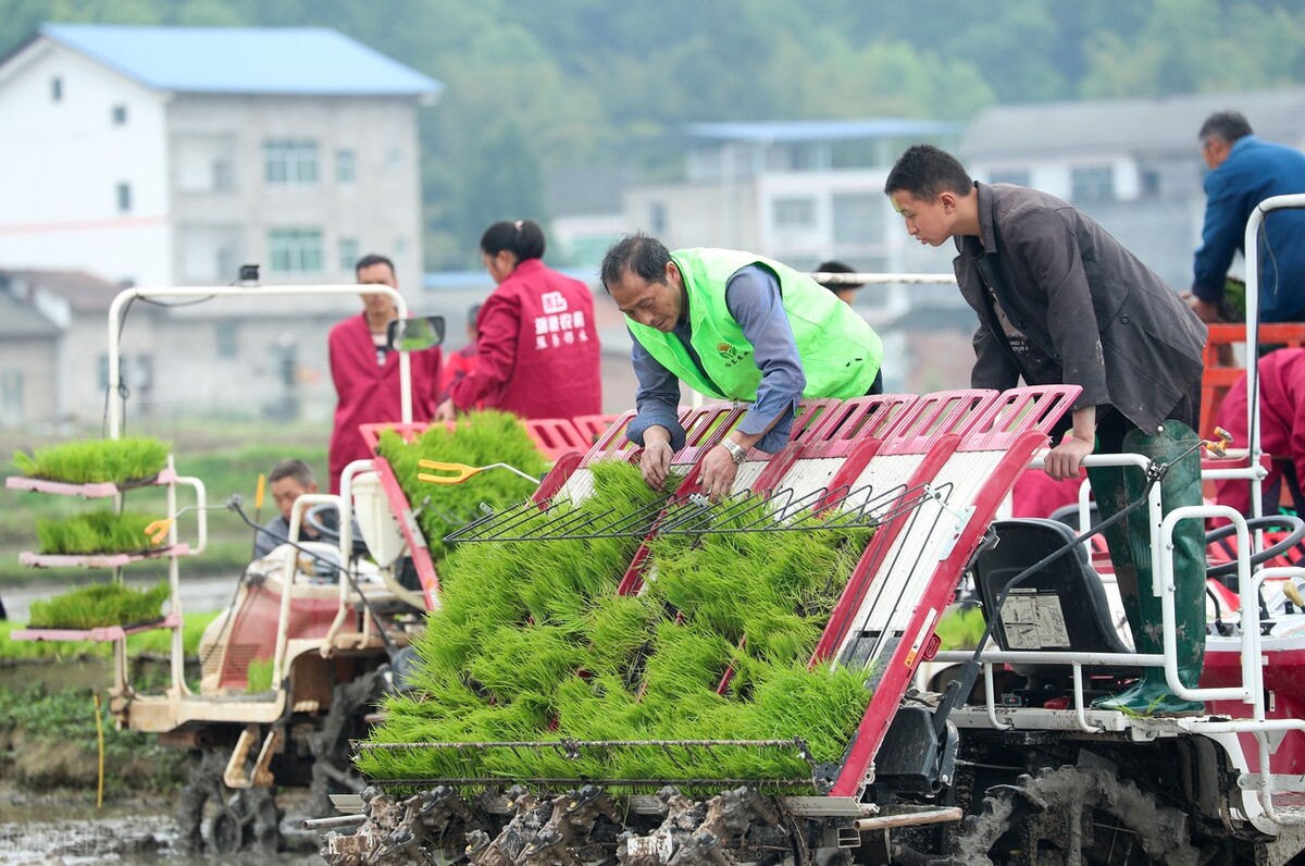 在原公社当过农机员的该来领补助了，这个政策河北已经实施多年