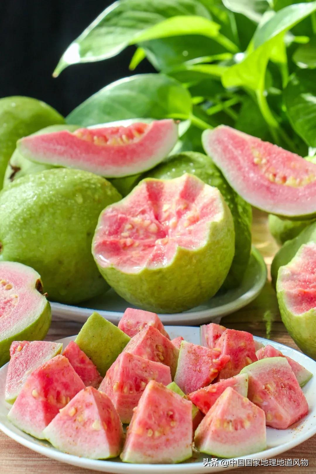 关于沙塘木的介绍557亿斤5个第一3个第二水果大省广西到底有多豪