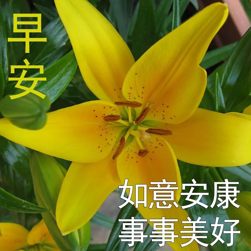 微信早上好图片 星期六表情祝福早上好问候语 最美微笑送给你图片